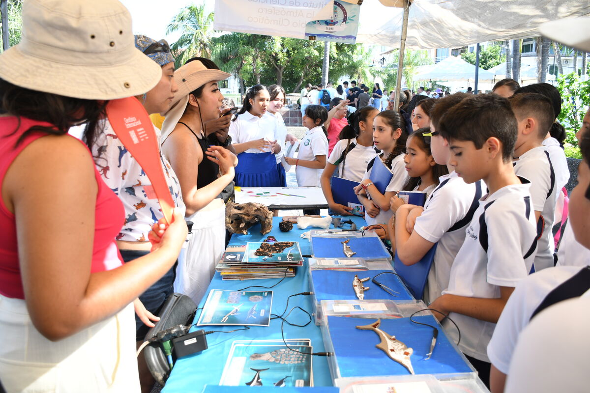Estudiantes explorando una mesa de muestras
