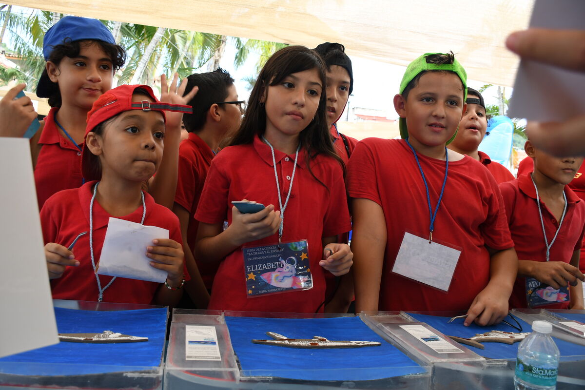 Grupo escolar observando especímenes